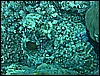 M0010501.JPG