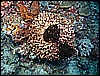 M0010505.JPG