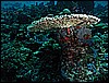 M0010511.JPG