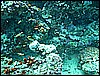M0010521.JPG