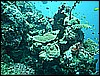 M0010522.JPG