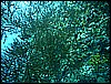 M0010532.JPG