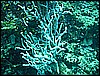 M0010533.JPG