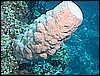 M0010538.JPG