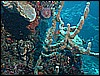 M0010540.JPG