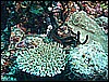 M0010541.JPG