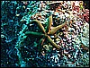 M0010543.JPG