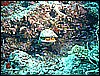 M0010549.JPG