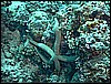 M0010565.JPG
