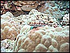 M0010571.JPG