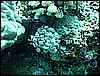M0010581.JPG