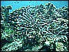 M0010585.JPG