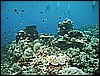 M0010591.JPG