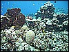 M0010592.JPG