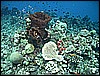 M0010596.JPG