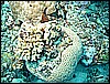 M0010601.JPG