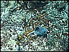 M0010606.JPG