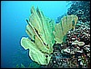 M0010697.JPG