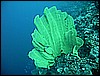 M0010699.JPG
