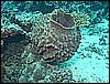 M0010715.JPG