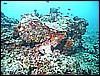 M0010722.JPG