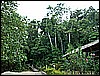 M0010804.JPG