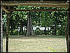 M0010805.JPG
