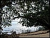 M0010806.JPG