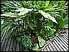 M0010840.JPG