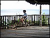 M0010841.JPG