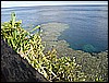 M0010845.JPG