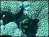 M0010927.JPG