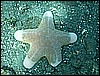 M0010949.JPG