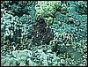 M0010966.JPG