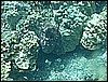 M0010970.JPG