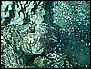 M0010971.JPG