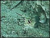 M0010975.JPG