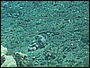 M0010978.JPG
