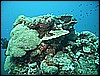 M0010984.JPG