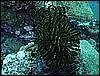 M0011002.JPG