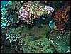 M0011005.JPG