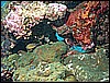 M0011008.JPG