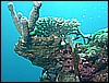 M0011011.JPG