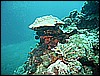 M0011014.JPG