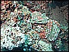 M0011016.JPG