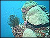 M0011029.JPG