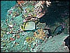 M0011031.JPG