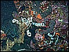 M0011036.JPG