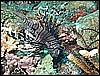 M0011043.JPG
