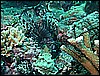 M0011048.JPG